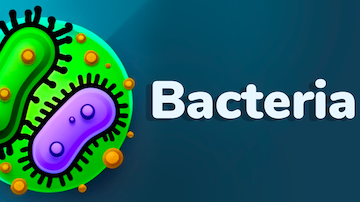 bacteria nrz