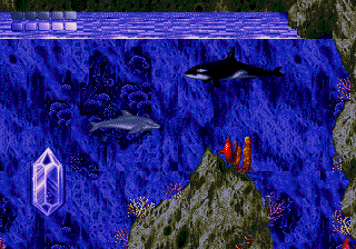 ecco dolphin 